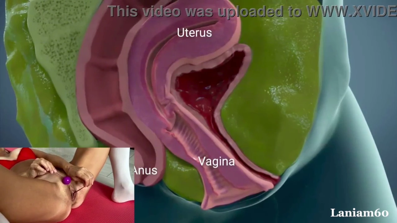 Watch anatomie sex, vagina anatomi, anatomy sexual, female anatomy porn movies and download Sex Toy, anatomie sex, grey anatomy sex streaming porn to your phone